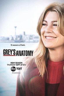 Grey's Anatomy saison 15 poster