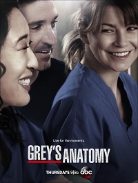 Grey's Anatomy saison 10 poster