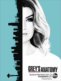 Grey's Anatomy saison 13 poster